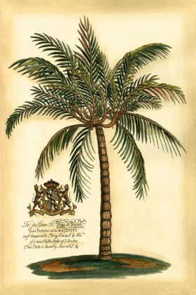 Picture of BRITISH COLONIAL PALM III