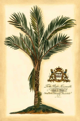 Picture of BRITISH COLONIAL PALM IV