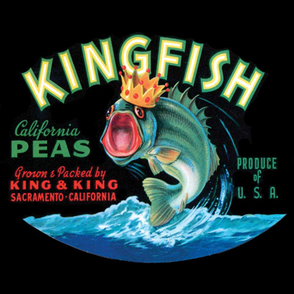 Picture of KINGFISH