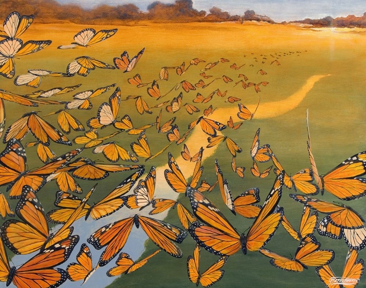 Picture of MONARCH MIGRATION