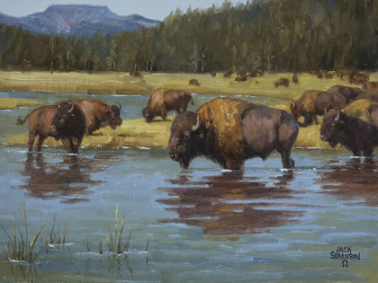 Picture of BUFFALO CROSSING