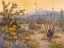 Picture of DESERT REPOSE IV
