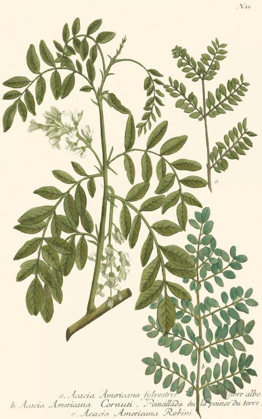 Picture of WEINMANN LEAVES I