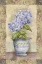 Picture of SPRING HYDRANGEA