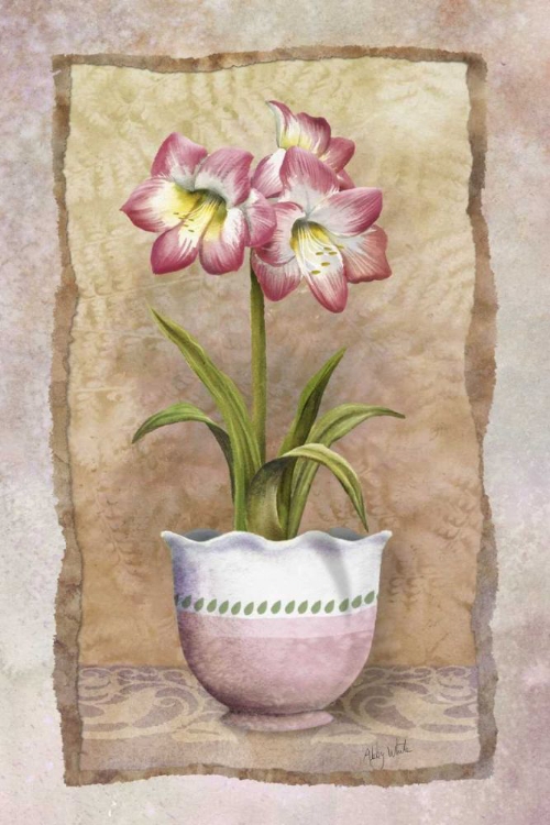 Picture of SPRING AMARYLLIS