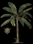 Picture of PALM AND CREST ON BLACK II