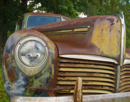 Picture of SMALL RUSTY HUDSON I
