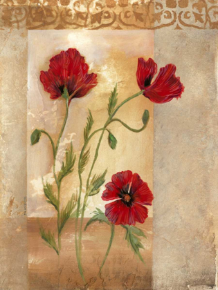 Picture of RED POPPIES IV