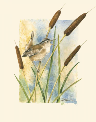 Picture of MARSH WREN AND CATTAILS