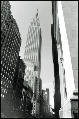 Picture of EMPIRE STATE BUILDING II