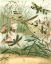Picture of DRAGONFLY GATHERING I