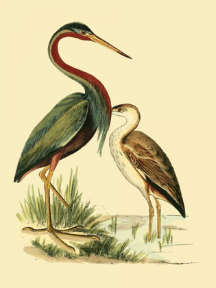 Picture of WATER BIRDS III
