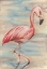 Picture of PINK FLAMINGO I