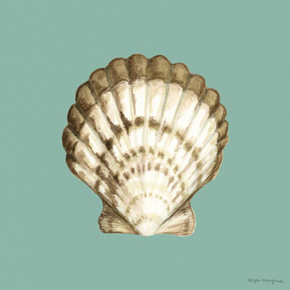 Picture of SHELL ON AQUA III