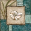 Picture of LARGE SHELL MONTAGE I