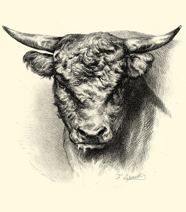 Picture of ANTIQUE CATTLE III