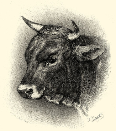 Picture of ANTIQUE CATTLE IV