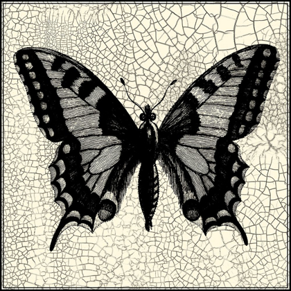Picture of CLASSICAL BUTTERFLY I