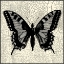 Picture of CLASSICAL BUTTERFLY I