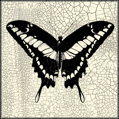 Picture of CLASSICAL BUTTERFLY IV