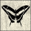 Picture of CLASSICAL BUTTERFLY IV