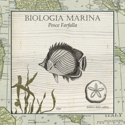 Picture of BIOLOGIA MARINA I