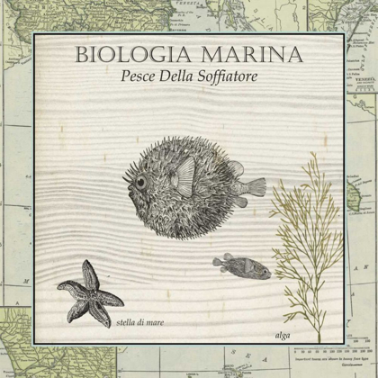 Picture of BIOLOGIA MARINA II
