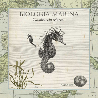 Picture of BIOLOGIA MARINA III