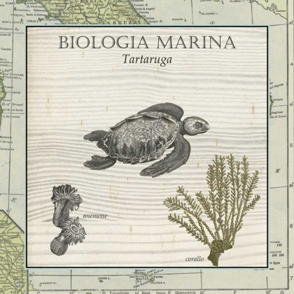 Picture of BIOLOGIA MARINA IV