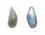 Picture of TIDAL TREASURE III
