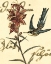 Picture of SMALL HUMMINGBIRD REVERIE IV