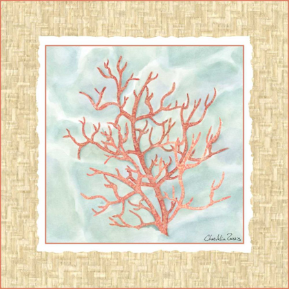 Picture of OCEAN CORAL