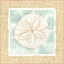 Picture of OCEAN SANDDOLLAR