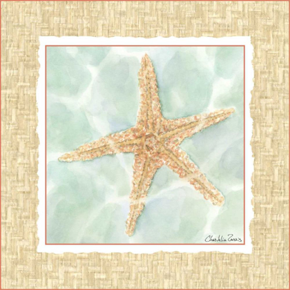 Picture of OCEAN STARFISH 