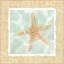 Picture of OCEAN STARFISH 