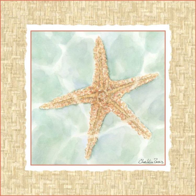 Picture of OCEAN STARFISH 