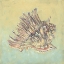 Picture of SAND AND SEA II