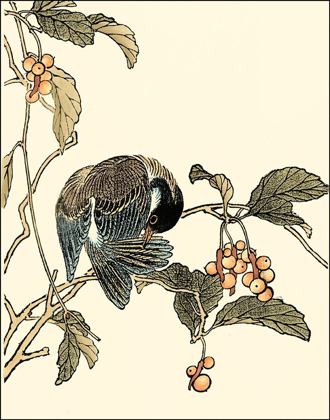 Picture of ORIENTAL BIRD ON BRANCH IV