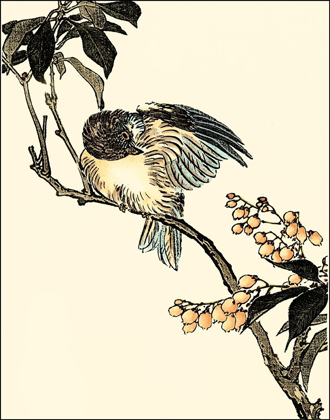 Picture of ORIENTAL BIRD ON BRANCH V