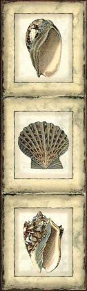 Picture of MINI RUSTIC SHELL PANEL I