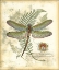 Picture of MINI REGAL DRAGONFLY I