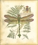 Picture of MINI REGAL DRAGONFLY III