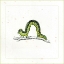 Picture of GREEN INCHWORM