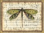 Picture of DRAGONFLY HARMONY II