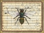 Picture of BUMBLEBEE HARMONY I
