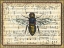 Picture of BUMBLEBEE HARMONY II