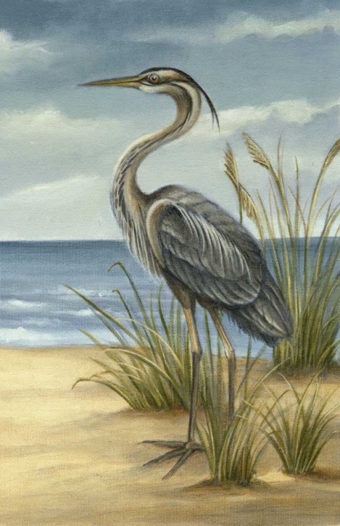 Picture of SHORE BIRD II