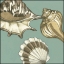 Picture of SMALL SHELL TRIO ON BLUE III