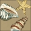Picture of SMALL SHELL TRIO ON KHAKI I