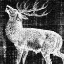 Picture of NORTHWEST TERRITORY II